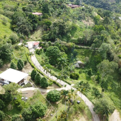 Manilla verde: Plan Pasadia