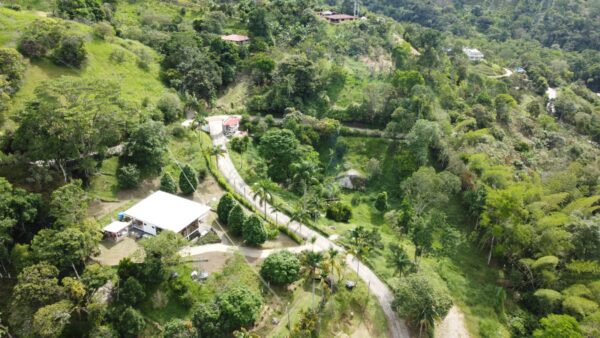 Manilla verde: Plan Pasadia